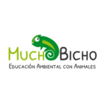 Logo Mucho Bicho