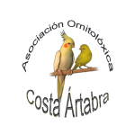 Costa Artabra